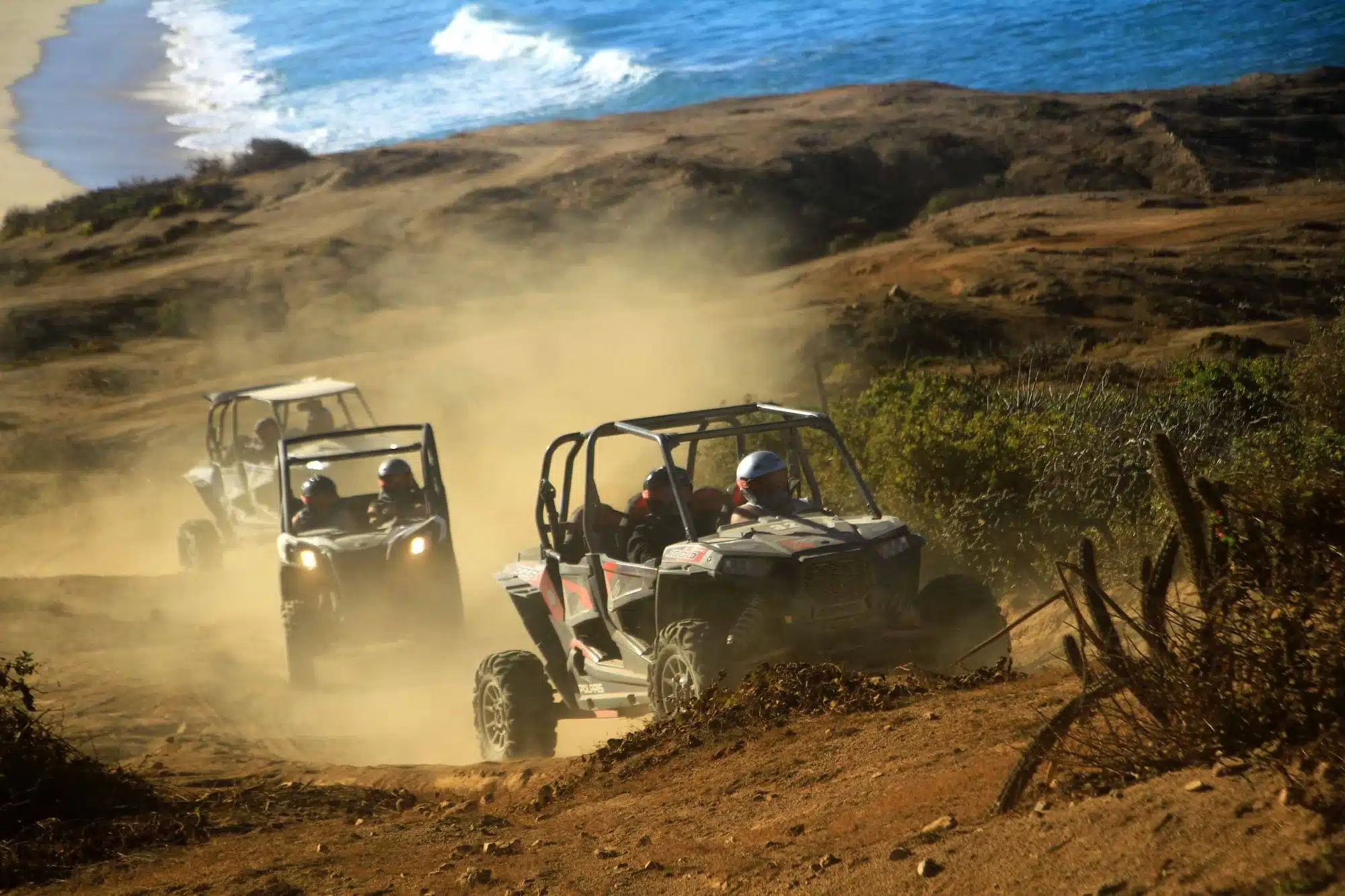 Real Baja Expedition full-day Razor tour